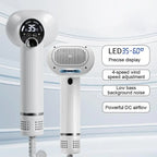 2-in-1 Pet Hair Dryer with Slicker Brush, LED Touch Control Self-Cleaning Massage Comb for Dogs and Cats, Quiet Operation, White