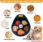 Cooling Wet-Food Feeder