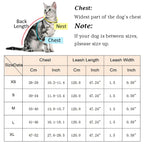 Reflective Pet Cat Harness and Leash Set for Cats Gotas Sphynx Harnesses Walking Dog Leash mascotas Accesorios szelki dla kota
