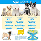 Cute Dog Harness Collar Leash Set - Blue Girl Dog Harness Checke Step-in Design, Adjustable No-Choke Lightweight Mesh Vest for