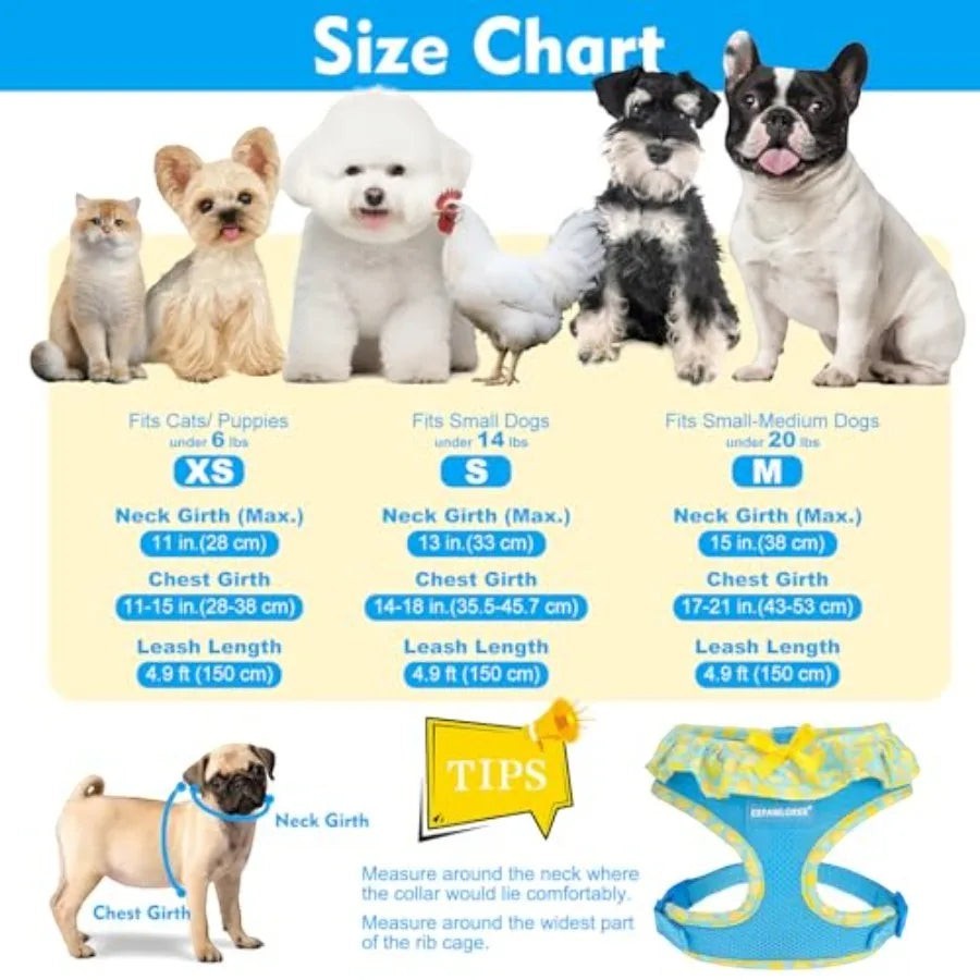 Cute Dog Harness Collar Leash Set - Blue Girl Dog Harness Checke Step-in Design, Adjustable No-Choke Lightweight Mesh Vest for
