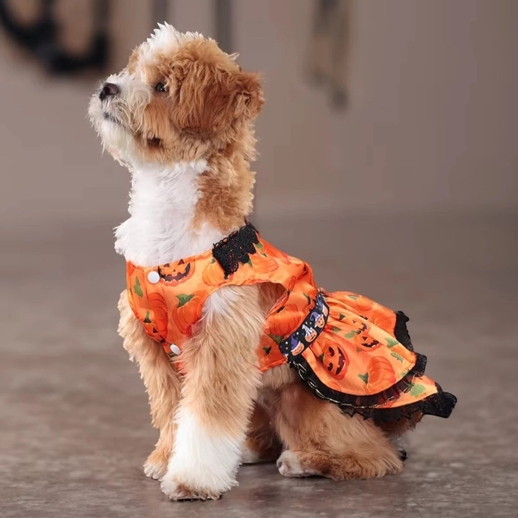 Little Pumpkin Skirt