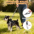 Small Dog Harness and Leash Set, Cute Puppy Harness, Step in No Pull Soft Mesh Pet Vest Harness Collar for Small Size Dogs Cats