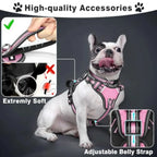 Pet Harness Collar and Leash Set: Reflective Nylon Dog Harness for Puppies and Small Dogs, Black, No-Pull Design with Adjustabl