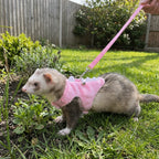 Adjustable Ferret Vest Harness Dinosaur Shape Escape-Proof Pet Traction Rope Comfortable with Bell Guinea Pig Safety Vest