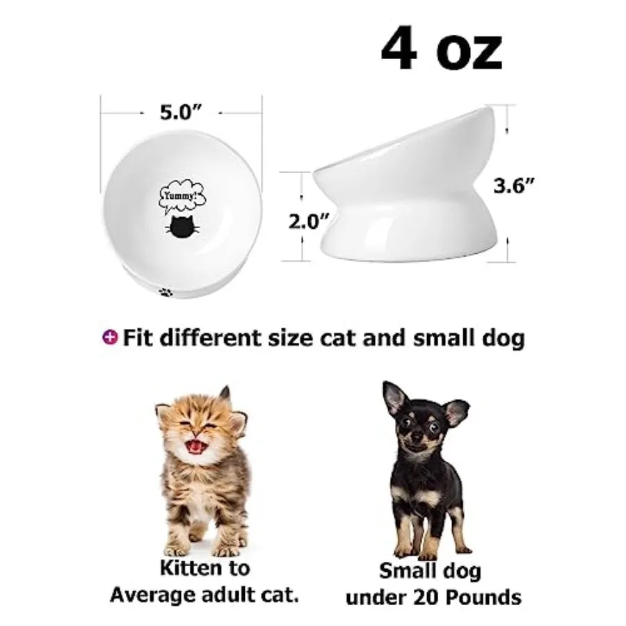 Cat Bowl Anti Vomitg, Raised Food Bowls, Tilted Elevated Bowl, Ceramic Pet Food Bowl for Flat Faced Cats, Small Dogs, Protect P