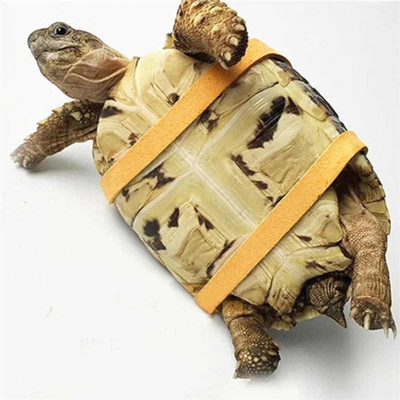 Turtle Traction Belt Control Rope Training Belt Outdoor Walking Leash Harness Reptile Leash Pet Supplies PU Leather Pet Traction