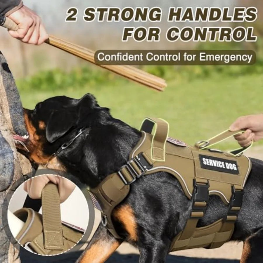 Service Dog Vest and Leash SetHeavy Duty Tactical Dog Harness with Metal Buckles for Sized Dogs Adjustable No-Pull Dog Harness