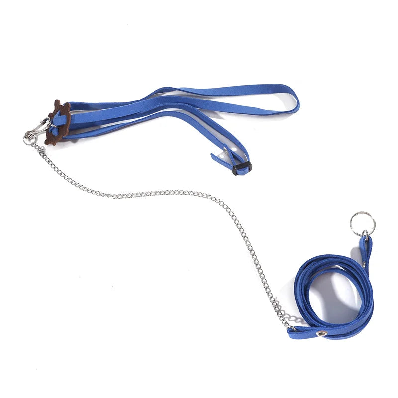 Turtle Traction Belt Control Rope Training Belt Outdoor Walking Leash Harness Reptile Leash Pet Supplies PU Leather Pet Traction