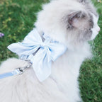 Cat Collar and Lead Adjustable Harness with Traction Rope for Cats Kittens Puppies