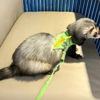 Soft Cartoon Ferret Vest Harness Adjustable Flannel Hamster Chest Strap Dragon Design with Bell Ferret Traction Rope Training