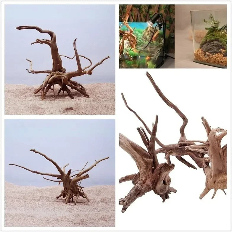 Natural Tree Trunk Driftwood Aquarium Fish Tank Reptile Cylinder Roots Plant Wood Decoration Ornament Accessory Aquarium Plants
