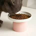 Elevated Ceramic Cat Bowl Non-Slip Pet Food DishHeavy Base for Flat-Face Cats/Dogs, Neck Protection, Anti-Spill, Easy Clean