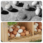 Wooden Chicken Nesting Box for Poultry Compartment Double Layer, Wall Mounted, Easy Assembly, Ideal for Hens, Chickens, Ducks
