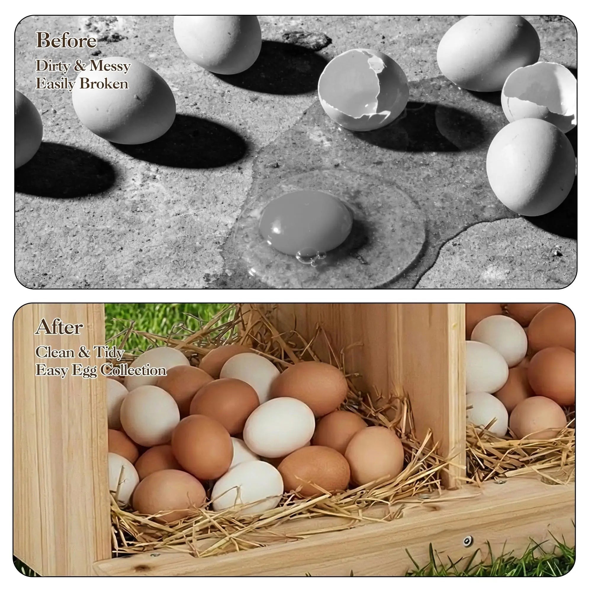 Wooden Chicken Nesting Box for Poultry Compartment Double Layer, Wall Mounted, Easy Assembly, Ideal for Hens, Chickens, Ducks