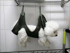 Mesh Breathable Dog Grooming Hammock for Small Medium Dogs Cats Suspension Type Pet Restraint Bag Cleaning Medical Accessories