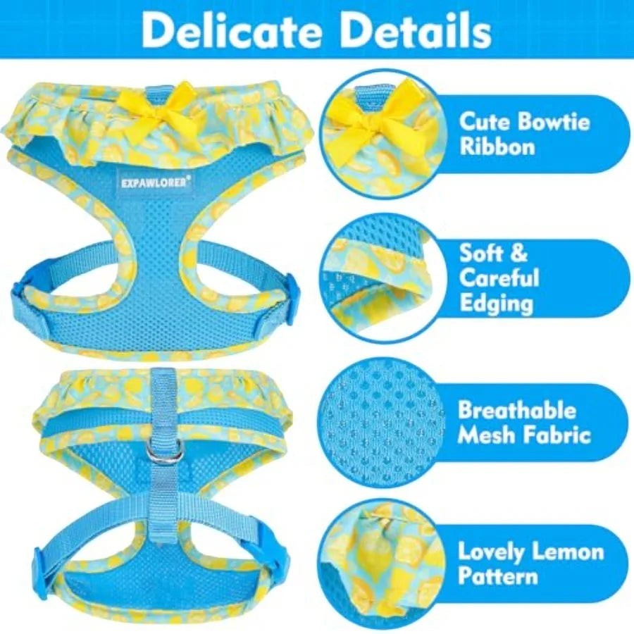 Cute Dog Harness Collar Leash Set - Blue Girl Dog Harness Checke Step-in Design, Adjustable No-Choke Lightweight Mesh Vest for