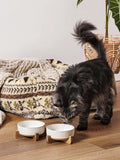 Ceramic Dog Bowls for Medium Large Dogs - 5 Cup Large Dog Food and Water Bowls with Wood Stand, Cute Pet Dishes Set of 2, Lines+Dot