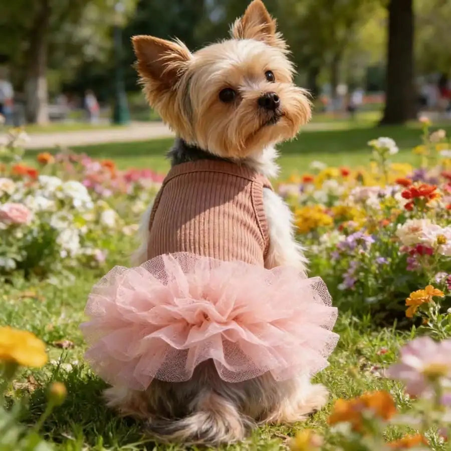Ballet Tulle Dress
