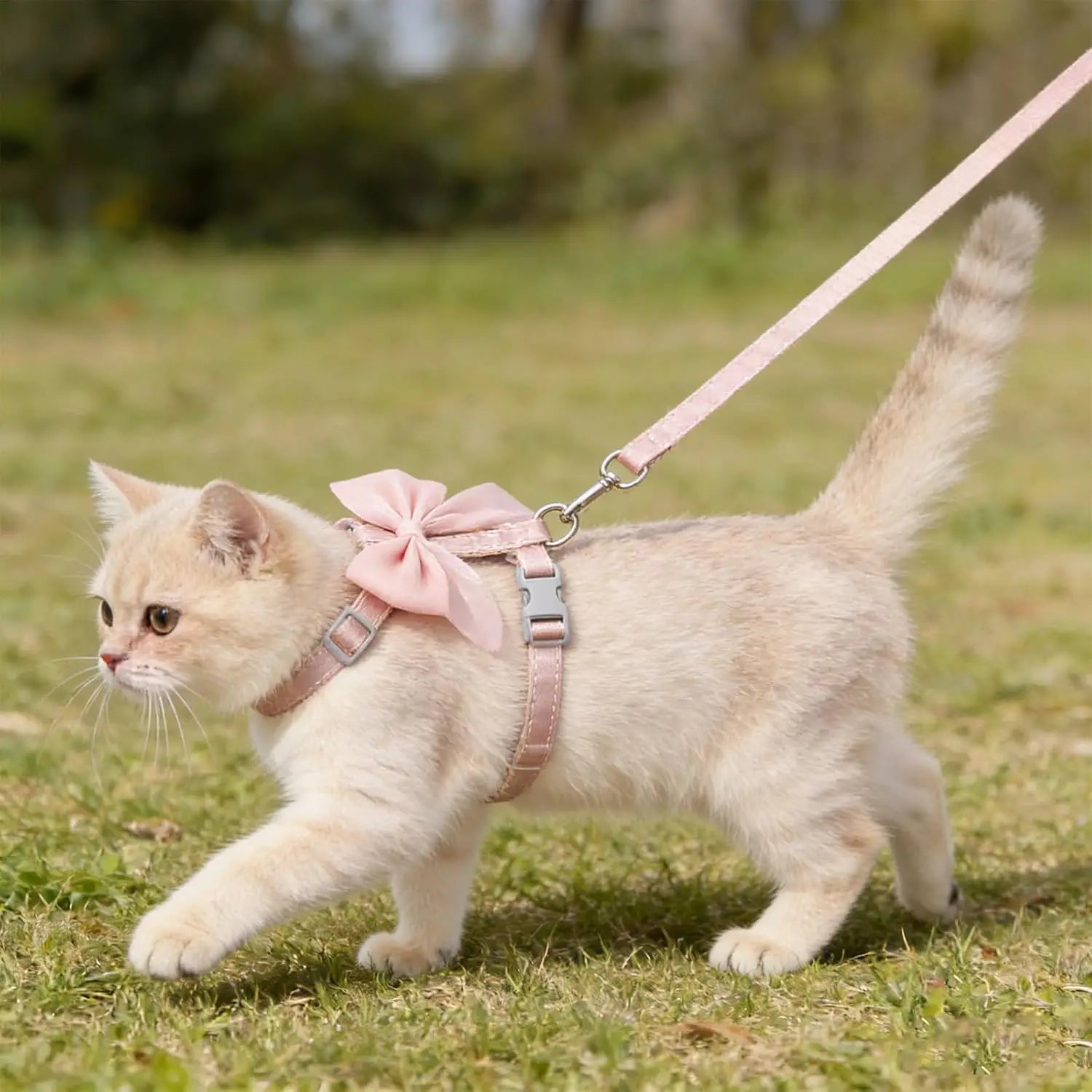 Pink Bow Cat Harness and Leash Set Escape Proof Adjustable for Walking Outdoor with Soft Lightweight Design for Small Cats