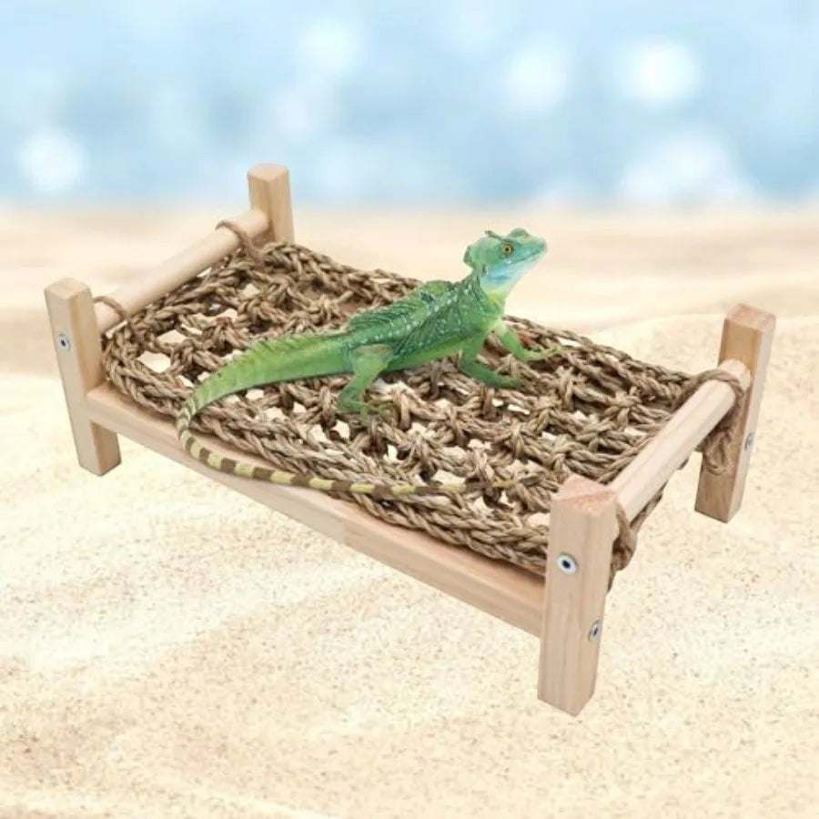 Bearded Dragon - Natural Wood and Seagrass Hammock, Reptile Tank Basking Platform Accessories for Leopard Gecko, Lizard, Frog