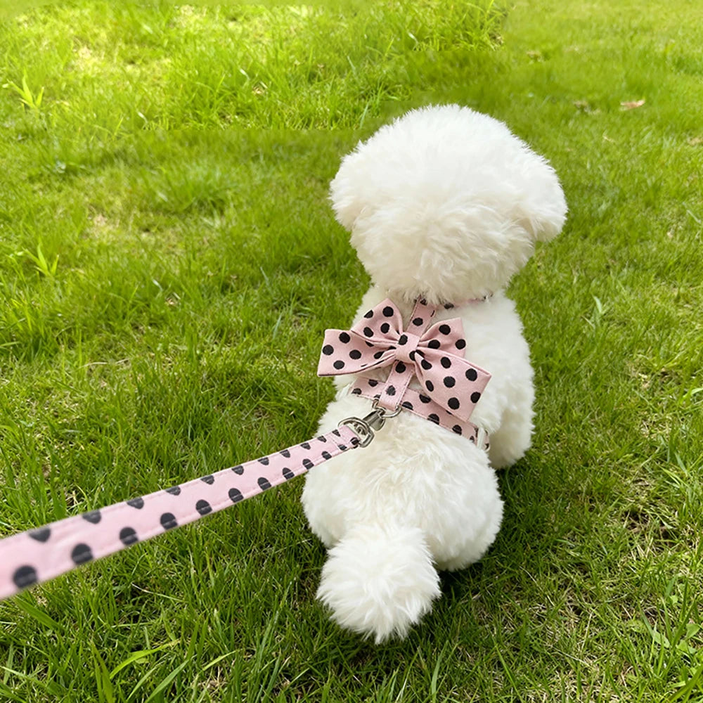 Stylish Polka Dot Pet Bow Harness & Leash Set Cute Puppy Kitten Small Dog Cat Vest Secure Adjustable Walking Cute Bow Collar