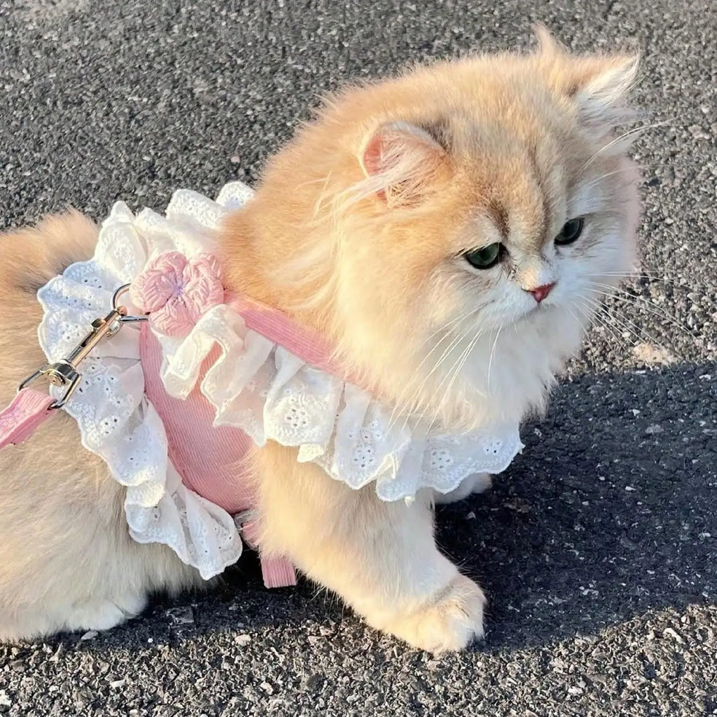 Floral Lace Pet Harness Dress with Matching Leash, Ruffle Princess Style, Breathable Fabric. Cute decorative outfit for small dogs and cats, comfortable walking harness for outdoor strolls, photo shooting and daily wearing