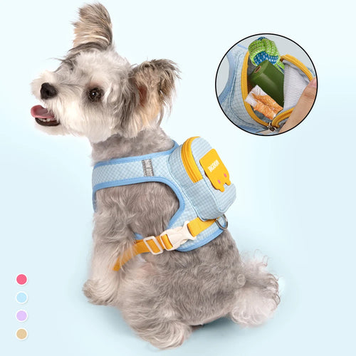 Adventure Backpack Harness Set