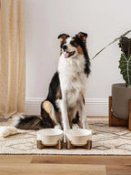 Ceramic Dog Bowls for Medium Large Dogs - 5 Cup Large Dog Food and Water Bowls with Wood Stand, Cute Pet Dishes Set of 2, Lines+Dot
