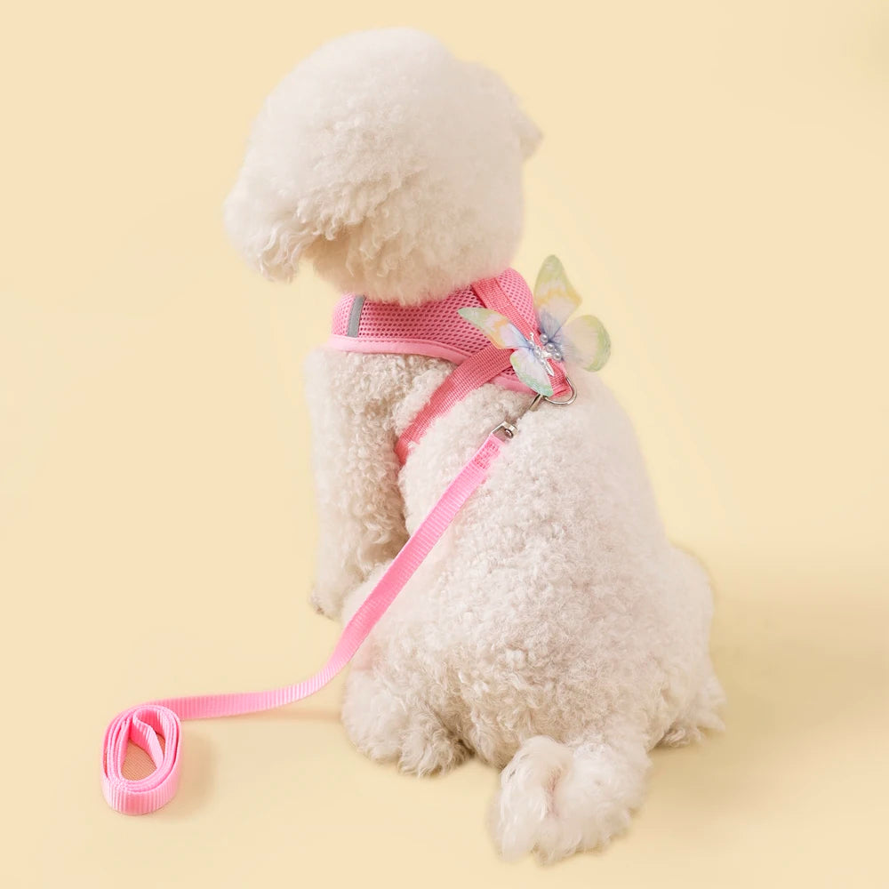 New Breathable Cute Cat Harness Set Butterfly Small Dog Harness Set Walk Outdoors Puppy Chest Vest Leash Accessories
