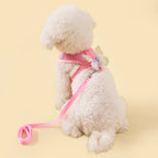New Breathable Cute Cat Harness Set Butterfly Small Dog Harness Set Walk Outdoors Puppy Chest Vest Leash Accessories