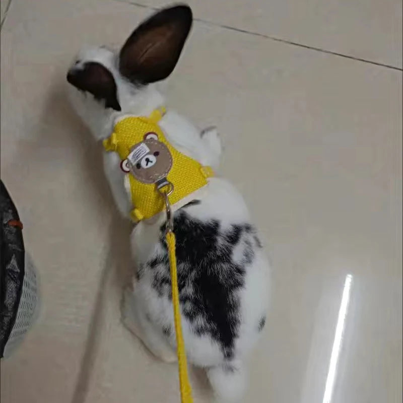 Cartoon Print Cat Rabbit Harness and Leash Set Bunny Rabbits Pet Accessories Bunnies Vest Clothes Lapin Accessoires Pour Animaux