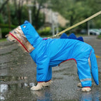 Dino Raincoat