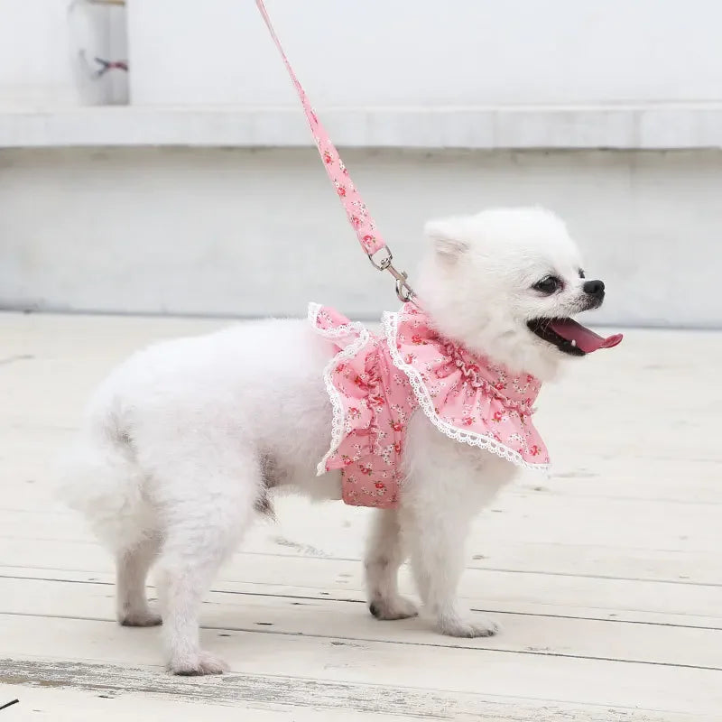 Small Dog Clothes Pet Cat Harness With Leash Lace Teddy Bichon Spring Summer Autumn Dog Leash Cat Supplies