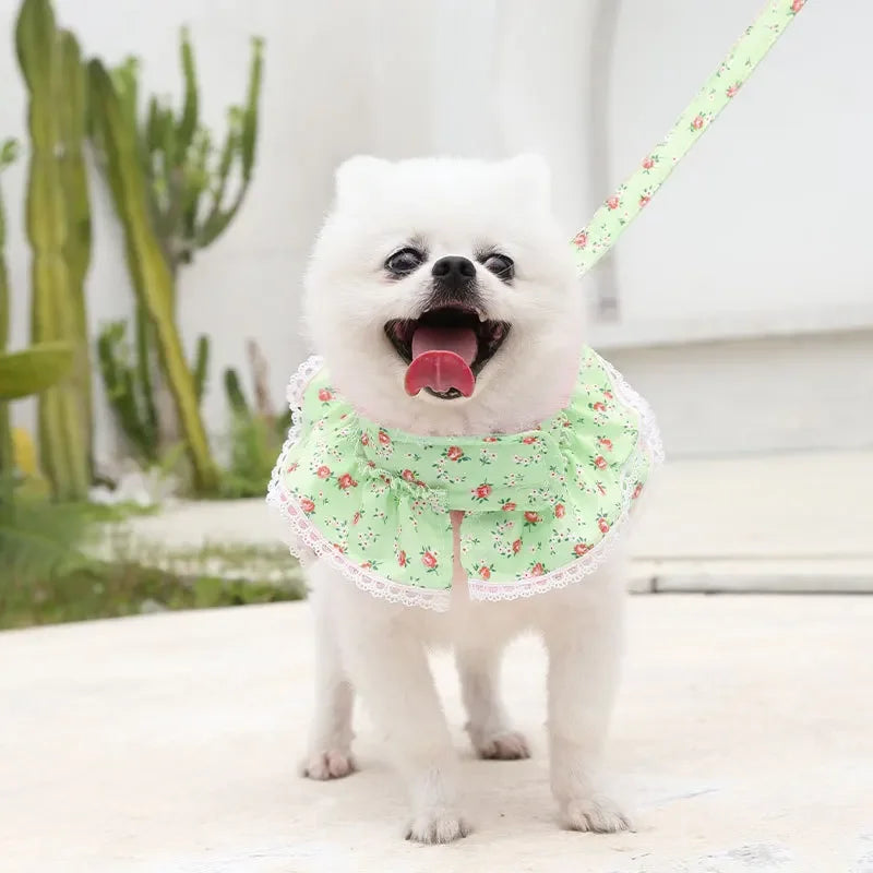Small Dog Clothes Pet Cat Harness With Leash Lace Teddy Bichon Spring Summer Autumn Dog Leash Cat Supplies