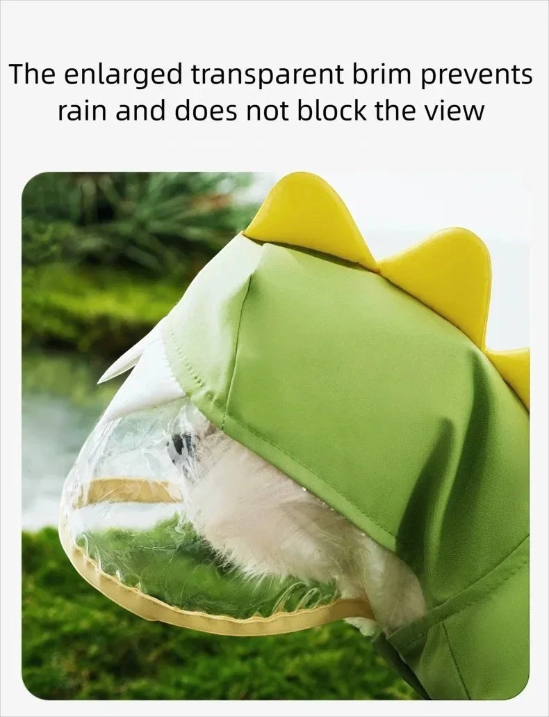 Dino Raincoat