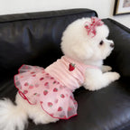 Petite Ruffle Skirt
