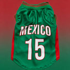 Sport Mesh Jersey
