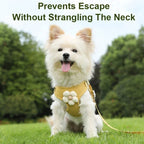 Pet Vest Traction Rope Dog Cartoon Three-Dimensional Accessories Teddy Walking Dog Rope Cat Going Out Chest and Back Protection