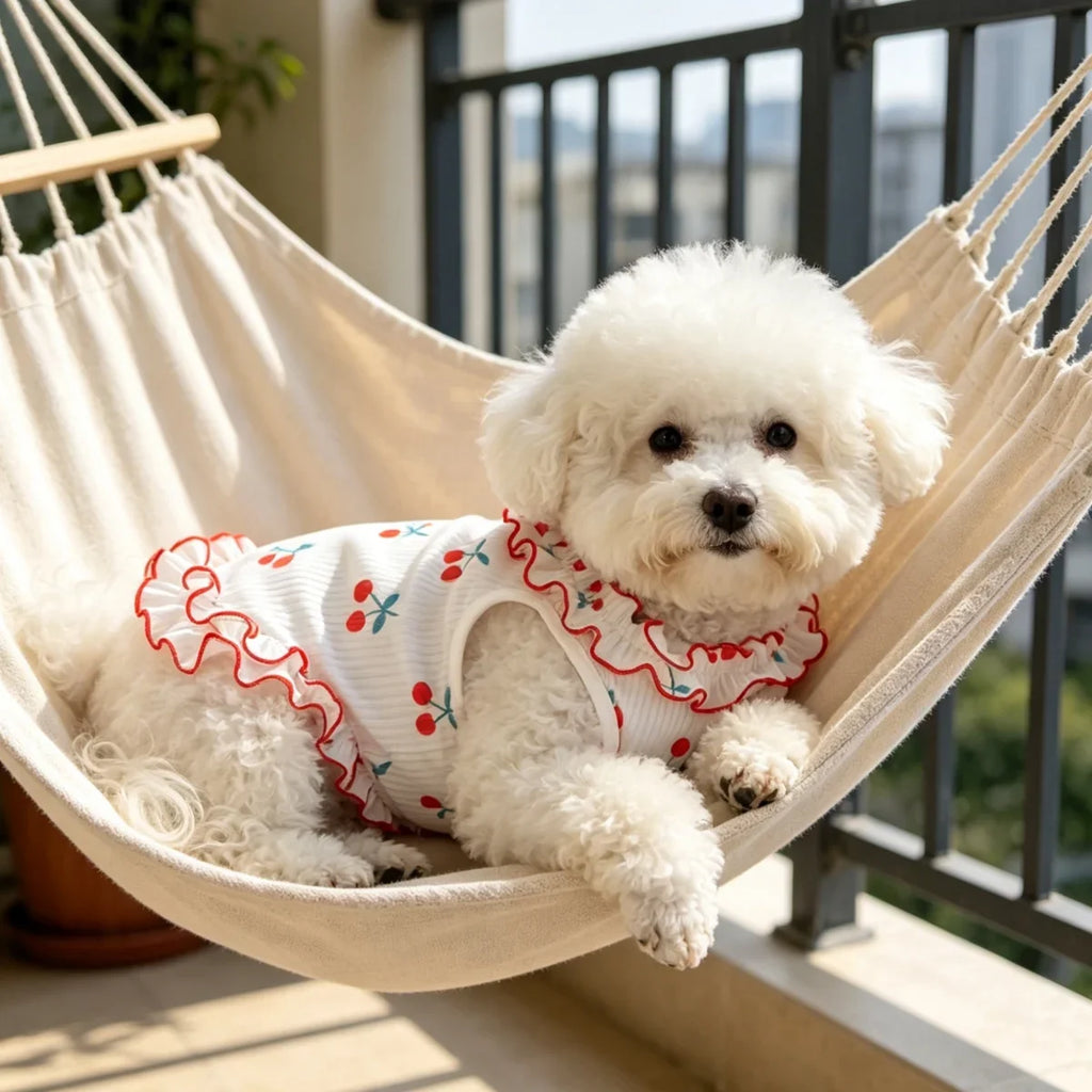 1PC Fashion Cute Cherry Ruffle Pet Dress for Small Dogs, Comfortable Anti-Static Dog Skirt Summer Clothes