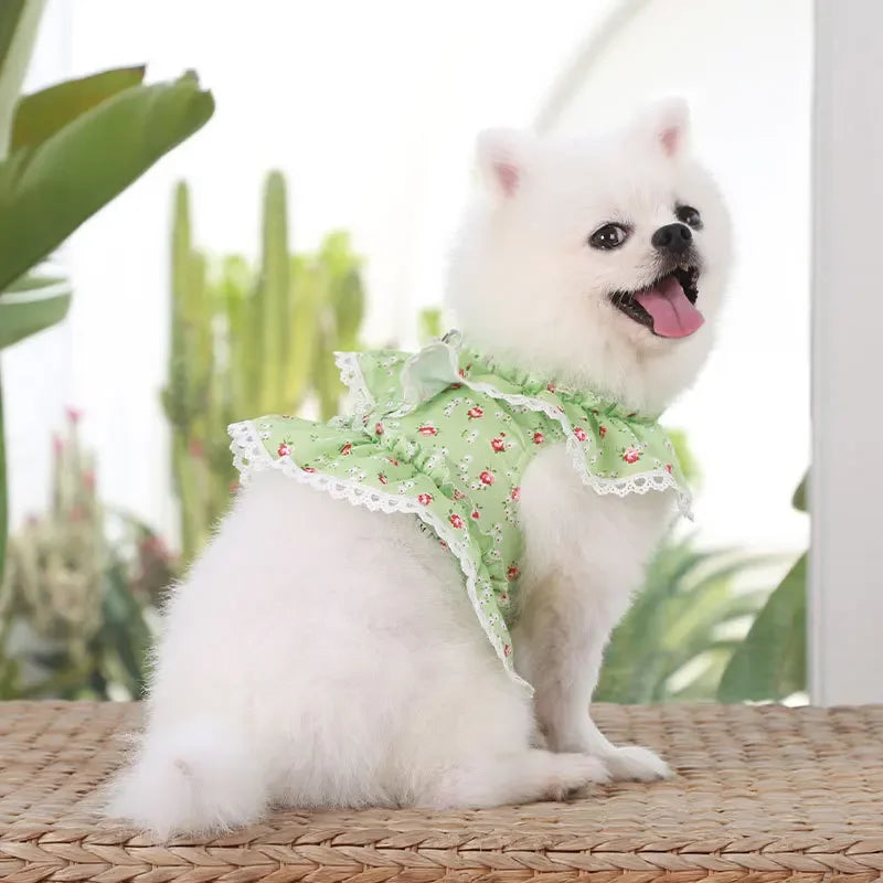 Small Dog Clothes Pet Cat Harness With Leash Lace Teddy Bichon Spring Summer Autumn Dog Leash Cat Supplies