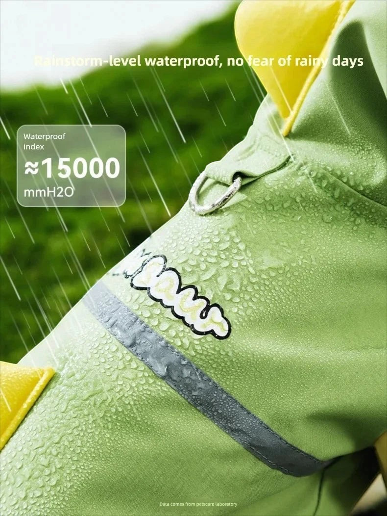 Dino Raincoat
