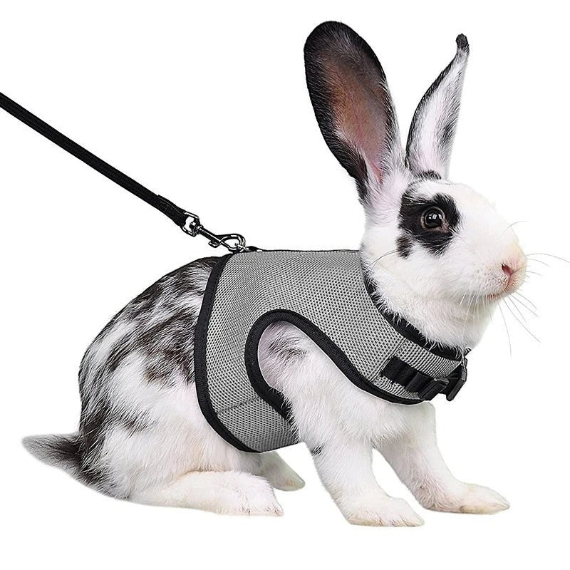 Mincy Pets Breathable Vest Harness & Leash Set for Rabbits product photo.