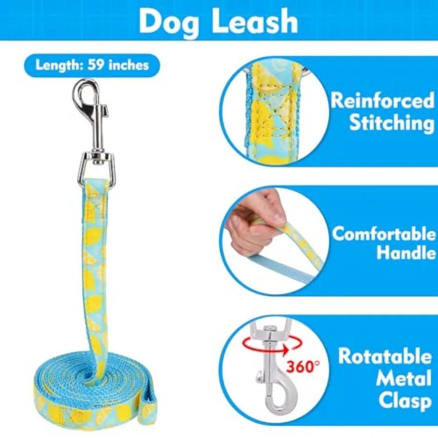 Cute Dog Harness Collar Leash Set - Blue Girl Dog Harness Checke Step-in Design, Adjustable No-Choke Lightweight Mesh Vest for