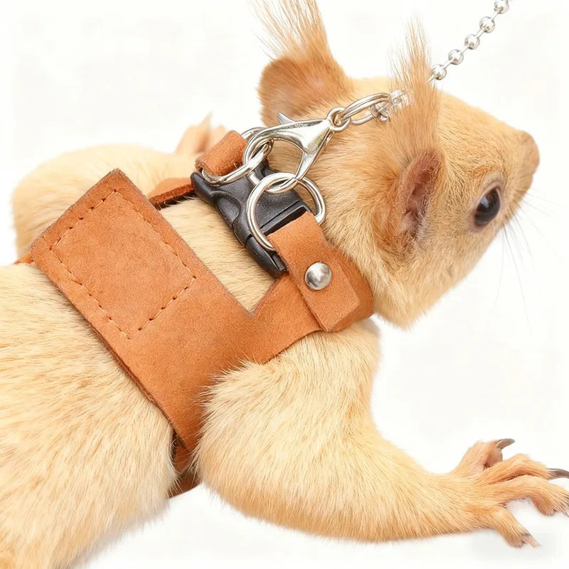 Comfortable Ferret Vest Harness Set Pet Harness Leash Adjustable Hamster Chest Strap Walking Outdoor Squirrels Anti Lost Rope