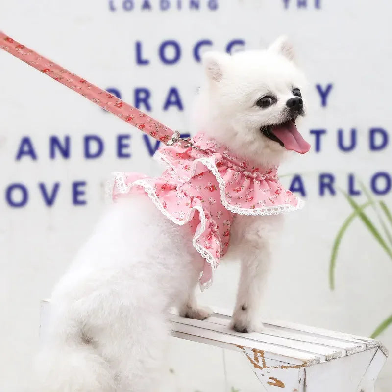Small Dog Clothes Pet Cat Harness With Leash Lace Teddy Bichon Spring Summer Autumn Dog Leash Cat Supplies
