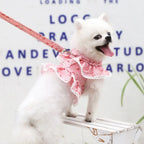 Small Dog Clothes Pet Cat Harness With Leash Lace Teddy Bichon Spring Summer Autumn Dog Leash Cat Supplies