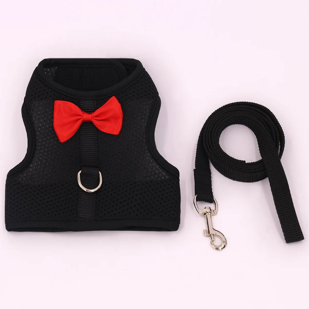 No Pull Comfort Padded Vest Leash for Bunny, Rabbit Harness, Soft Small Pet, Guinea Pigs, Squirrels, Martens, Other Small Animal