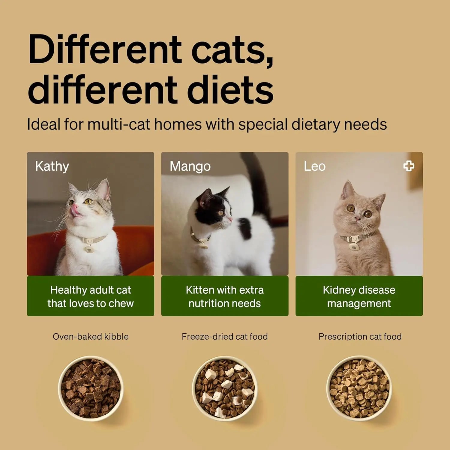 RFID Automatic Cat Feeder with Collar Sensor for Multi-Pet Homes, Wi-Fi Programmable Cat Food Dispenser with Diet Tracking