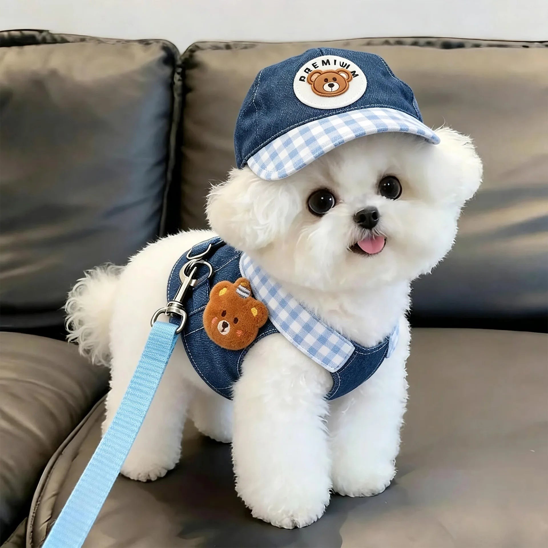 Dog Clothes 2026 New Dog Harness and Leash Set Denim Pet Vest with Sun Hat for Small Dogs Cats Puppy